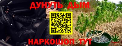 прущий лед Будённовск