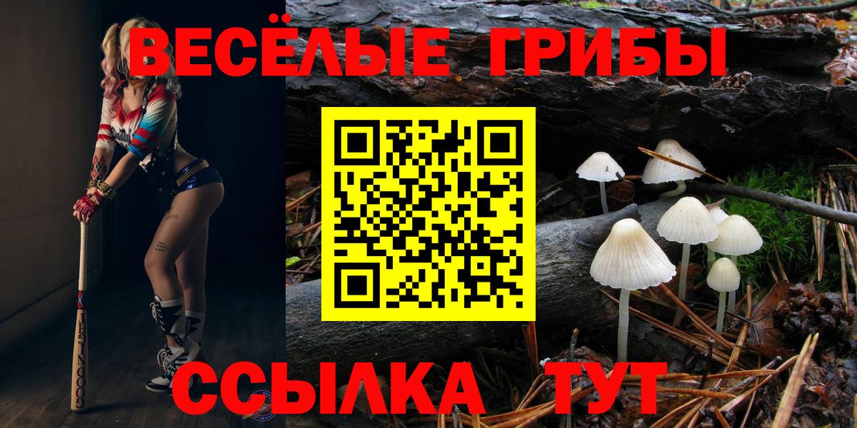 Псилоцибиновые грибы ЛСД Петрозаводск