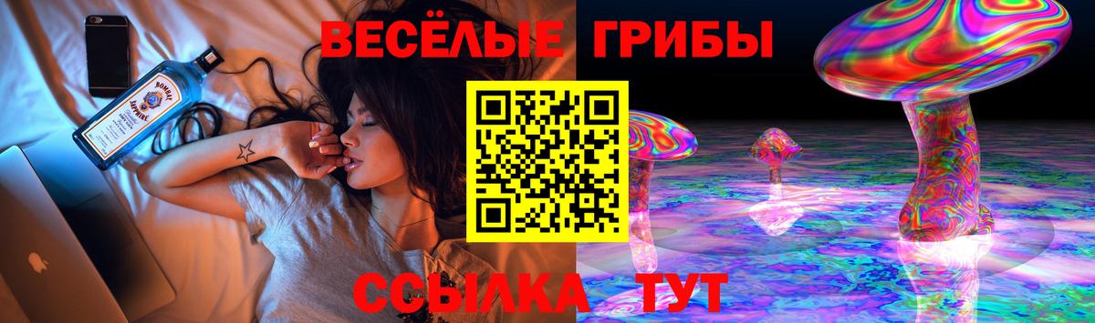 Псилоцибиновые грибы мицелий  Галлюциногенные грибы MAGIC MUSHROOMS  Петрозаводск  Вход с VPN 